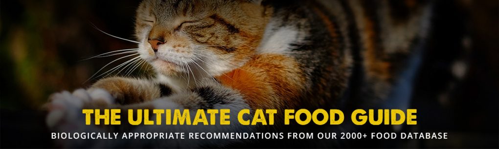 The 8 Best Cat Food Reviews (From Our Insanely Huge Food ...