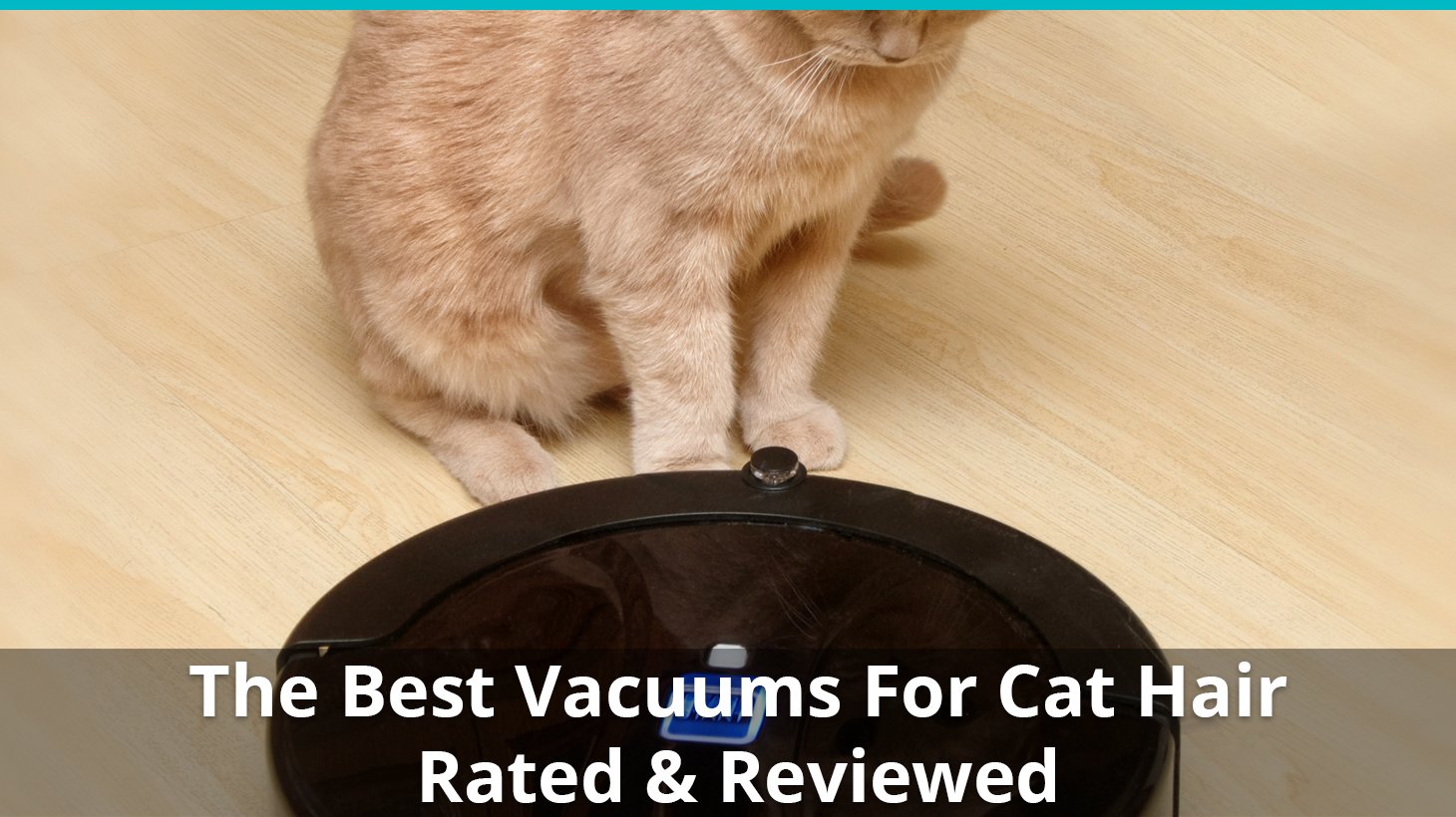 best vacuum for cat hair