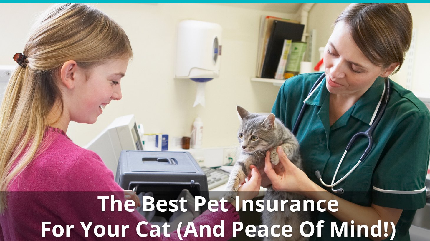 The Best Pet Insurance For Cats And Kittens To Save You Money
