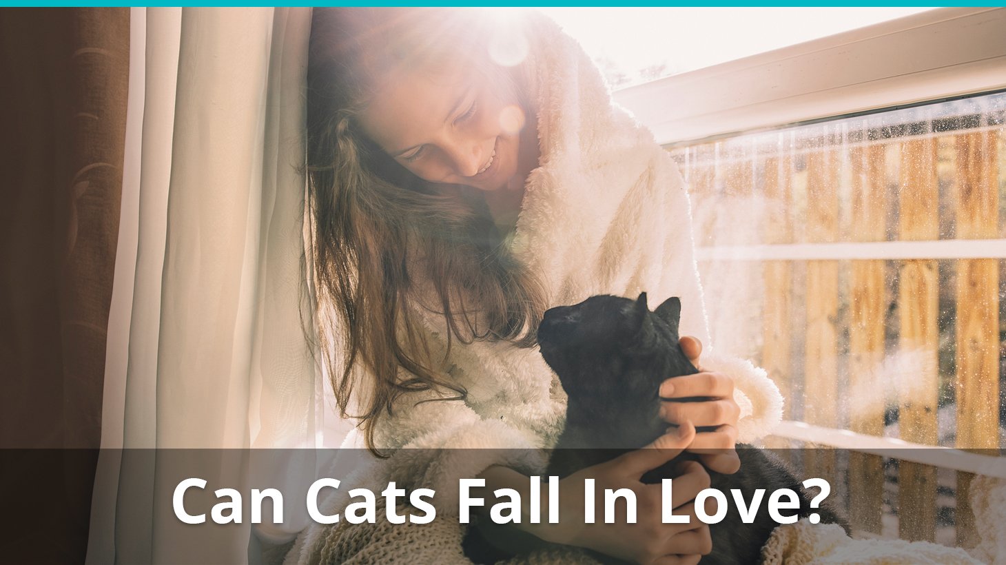 can cats fall in love