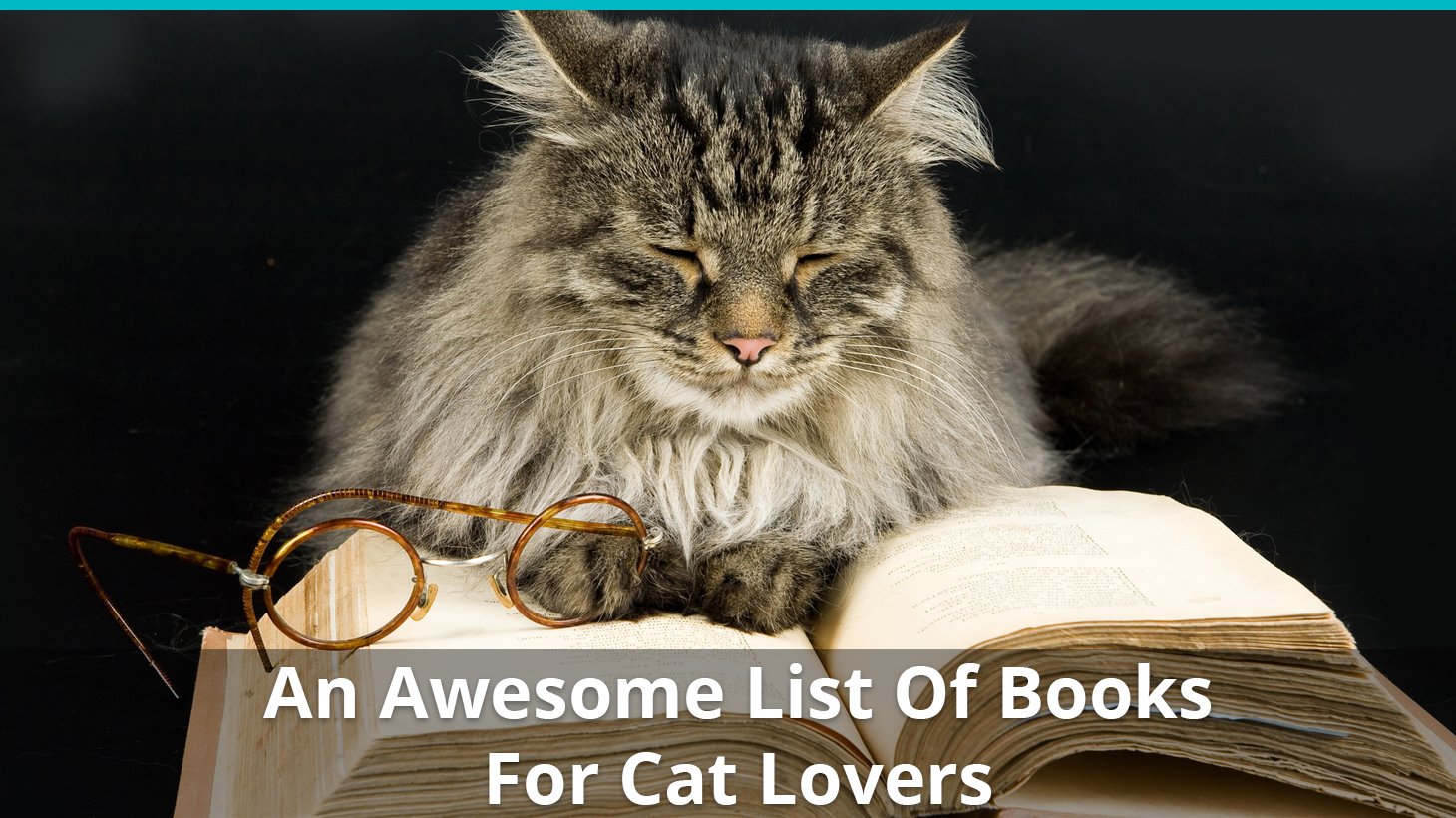 awesome list books cat lovers
