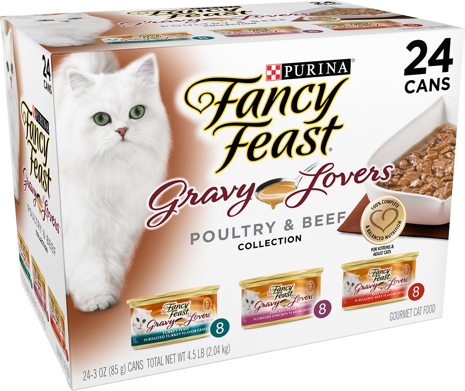The Best Cat Food Brands For Maine Coons in 2018 Reviews & Ratings