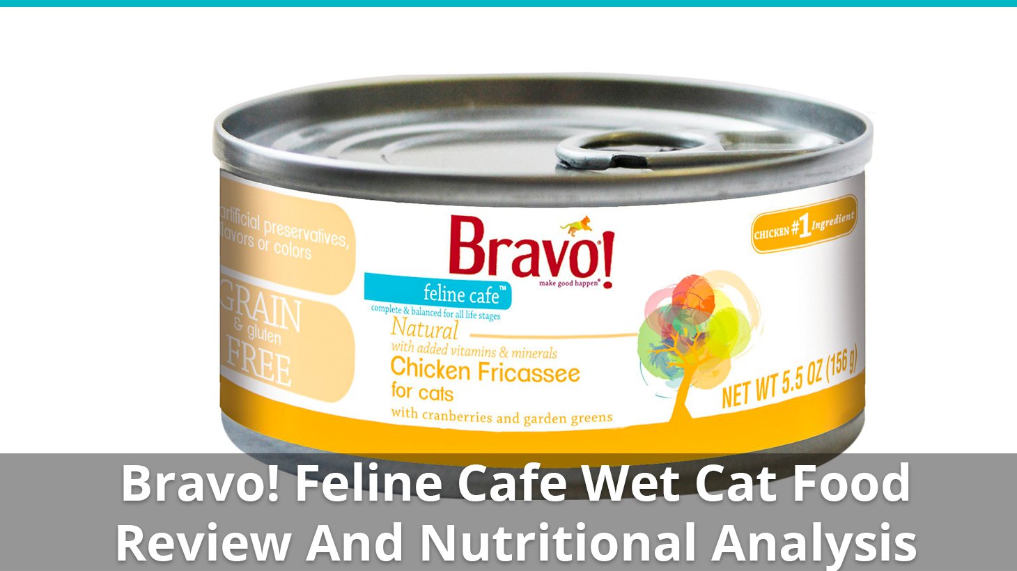 43 Best Images Feline Natural Cat Food Near Me / What is the best cat food? How I narrowed it down to a ...