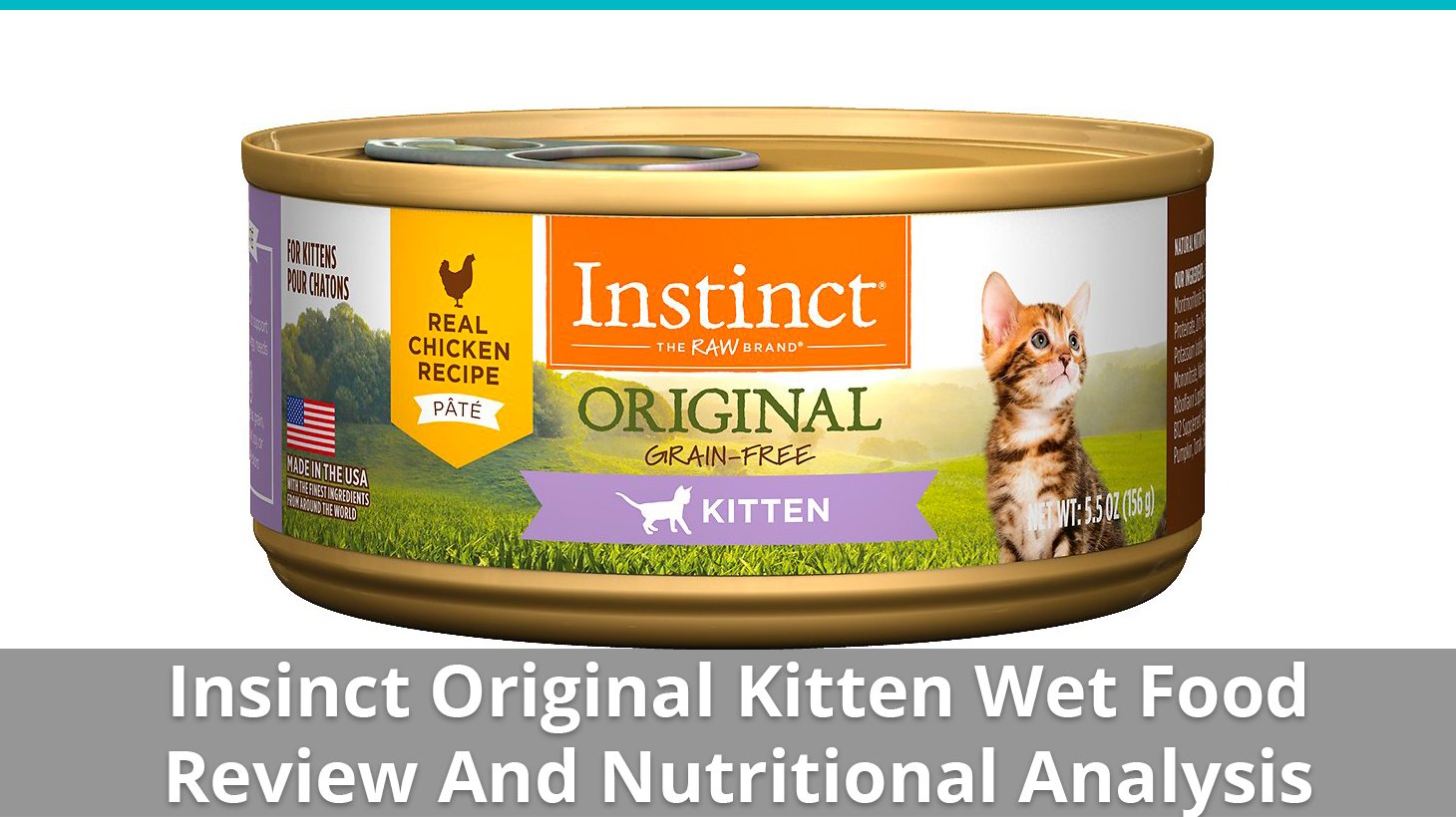 nature's variety instinct original kitten food