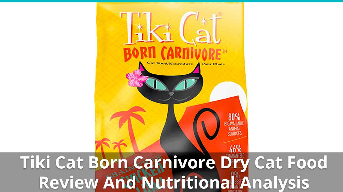 Tiki Cat Born Carnivore Cat Food (Dry) Review And Nutrition Analysis