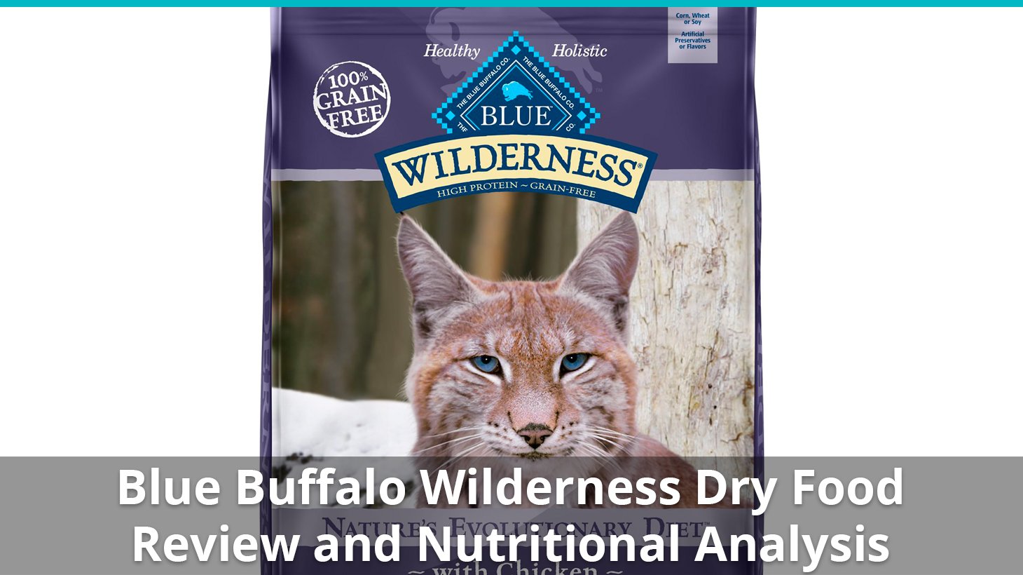 Blue Buffalo Wilderness Cat Food (Dry) Review And Analysis