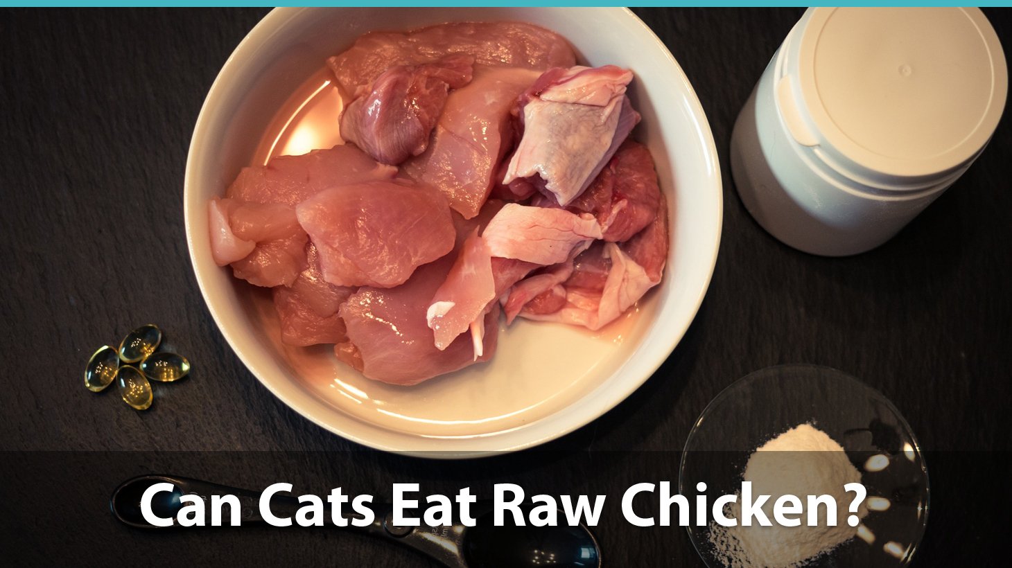 37 HQ Images Can Cats Eat Rare Steak People Foods Your Cat Can Eat