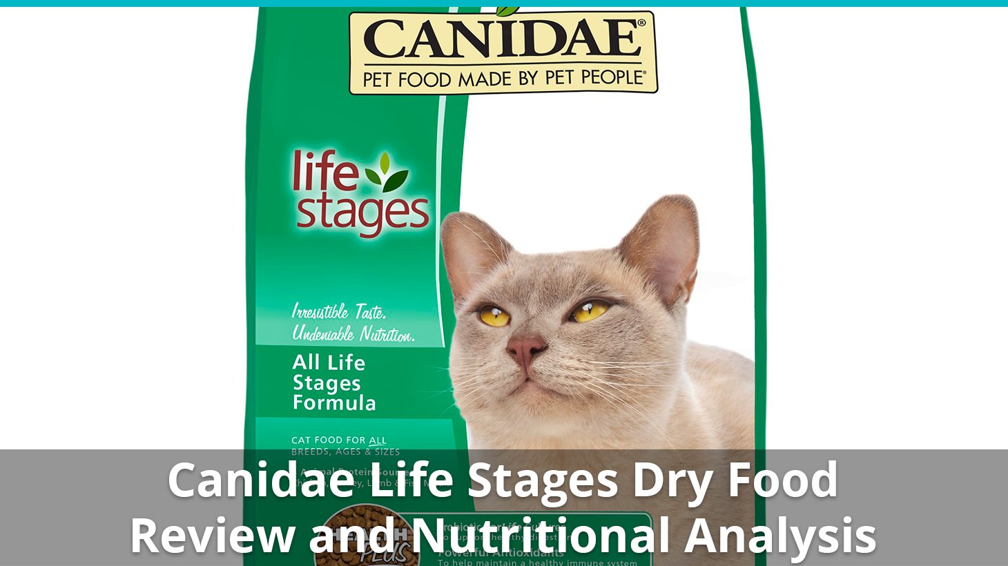 Canidae Life Stages Cat Food (Dry) Review And Analysis