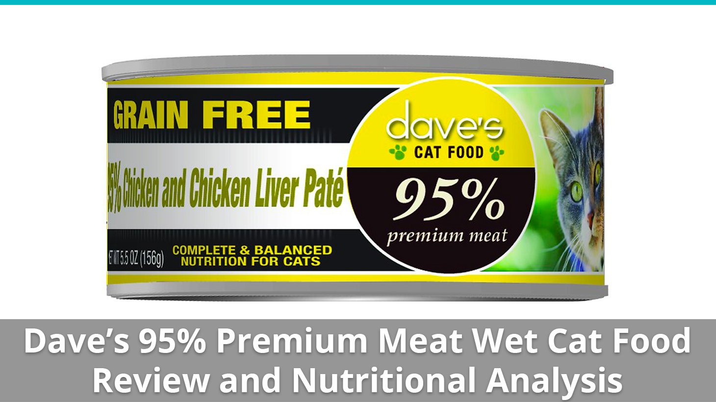Dave's Pet Food 95 Premium Meat Cat Food (Wet) Review And Analysis
