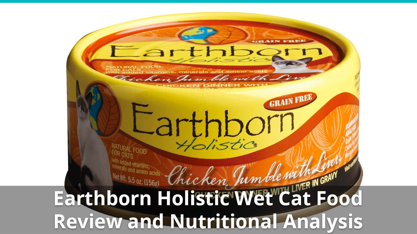 Earthborn Holistic Cat Food (Wet) Review And Nutrition ...