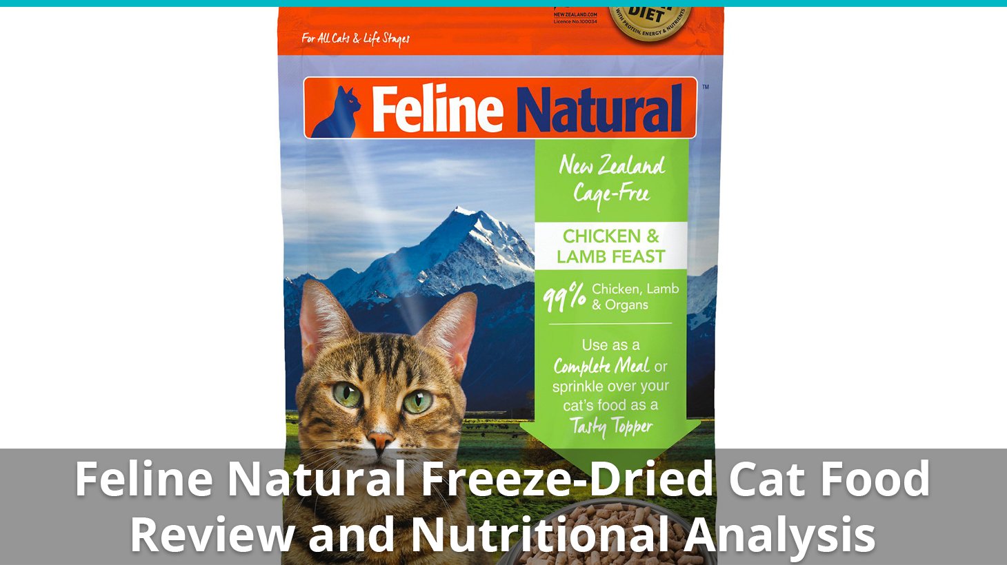 Feline Natural Cat Food (FreezeDried) Review And Nutrition Analysis