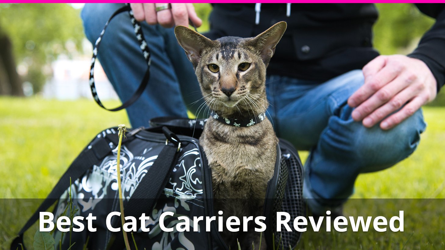 The Best Cat Carriers (Soft & Hard) Ratings and Reviews for 2020