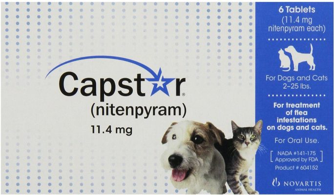 does the capster it prevent fleas