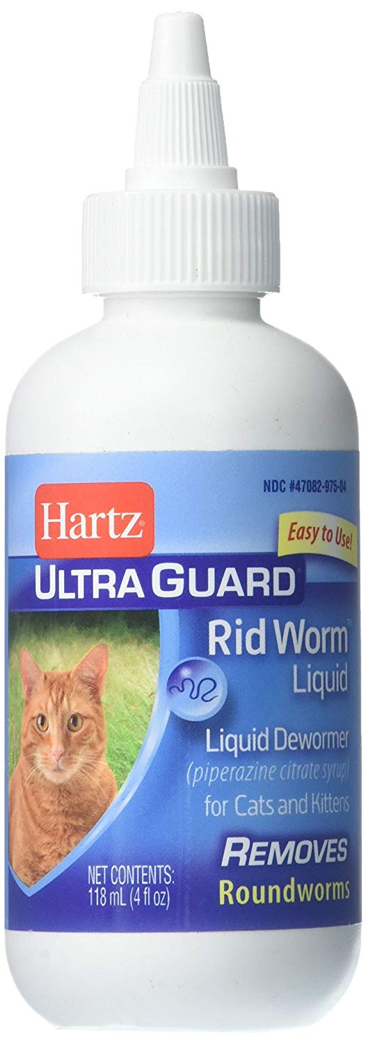 roundworm meds for cats
