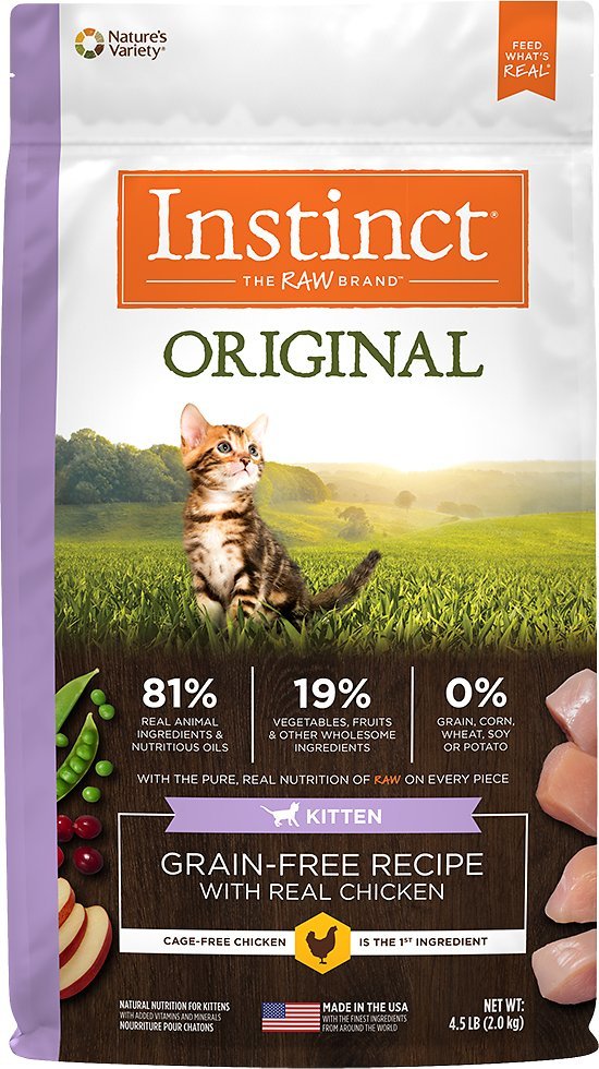 High Calorie Cat Food for Weight Gain 