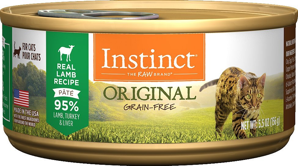 Best High Calorie Cat Food for Weight Gain Wet and Dry Brand Reviews