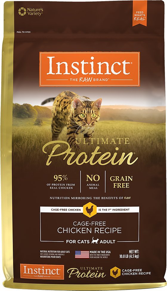 Reviews Of The Best Low Carb Cat Food + Buyer’s Guide (2020)