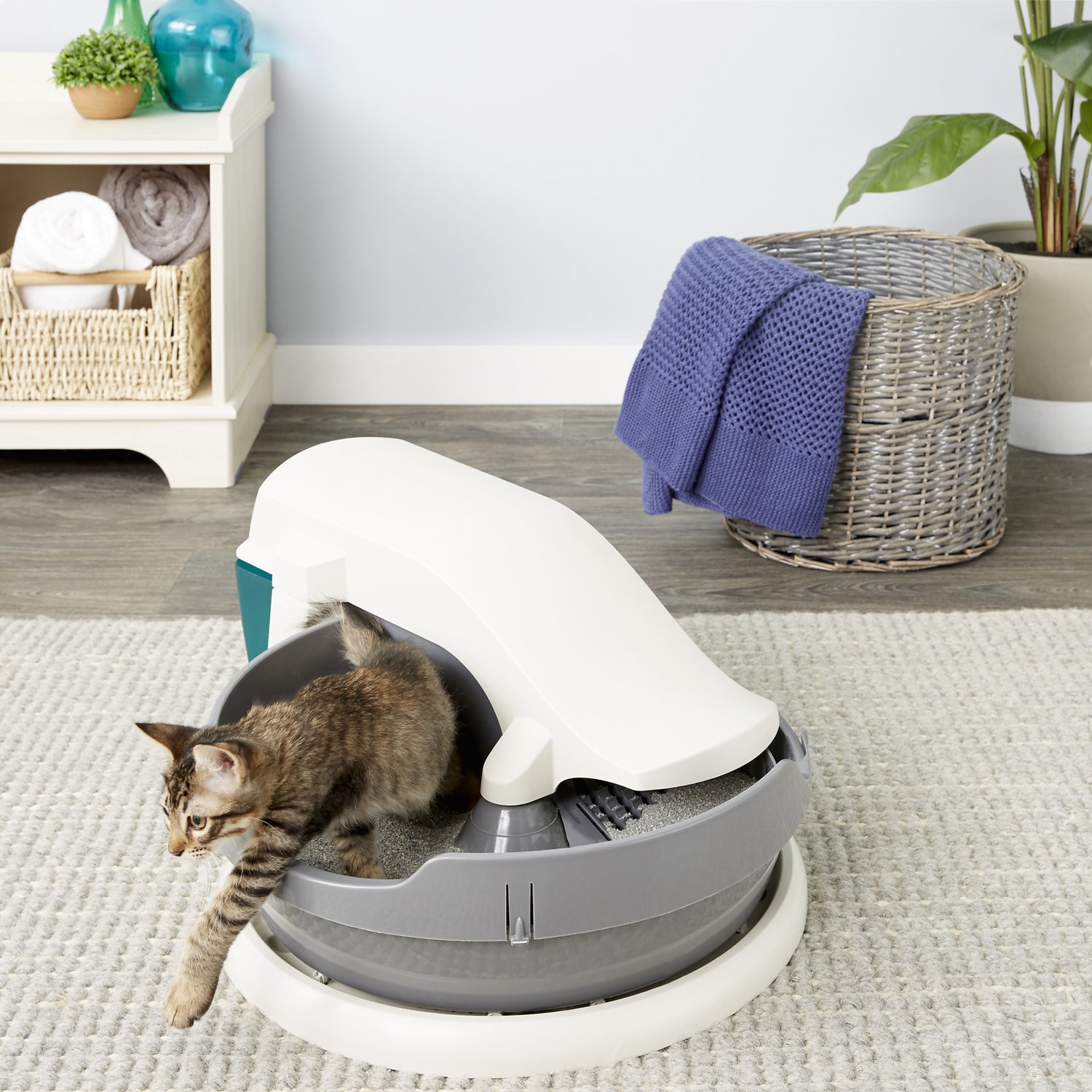 Best Automatic Cat Litter Box Reviews of SelfCleaning Litter Boxes 2021